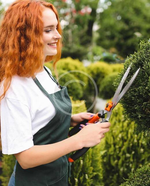 post-image1-copyright